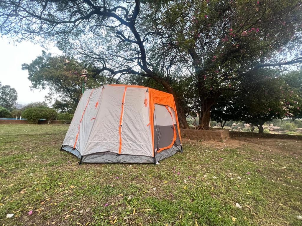 Leo Wodden Resort Hampi Bagian luar foto