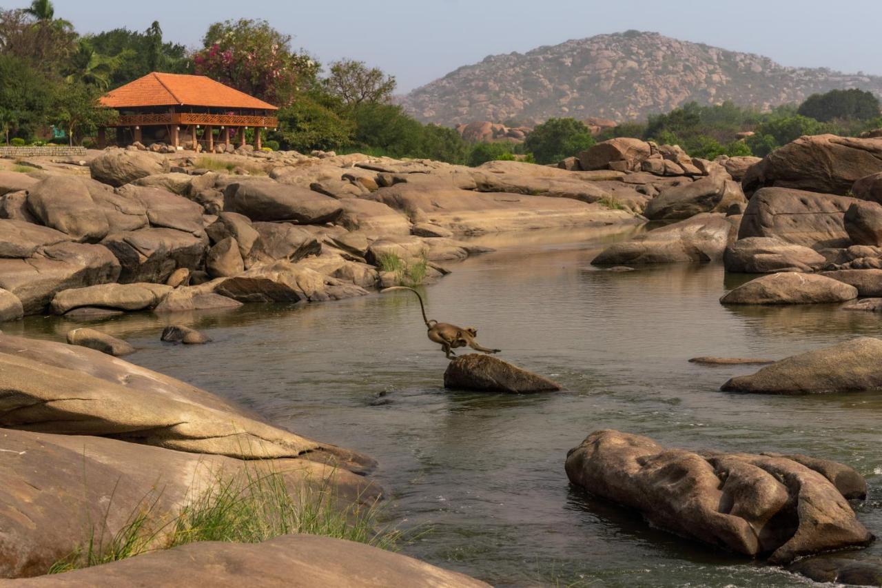 Leo Wodden Resort Hampi Bagian luar foto