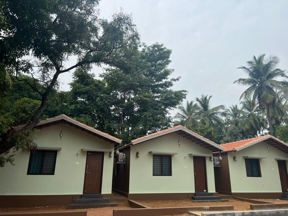 Leo Wodden Resort Hampi Bagian luar foto