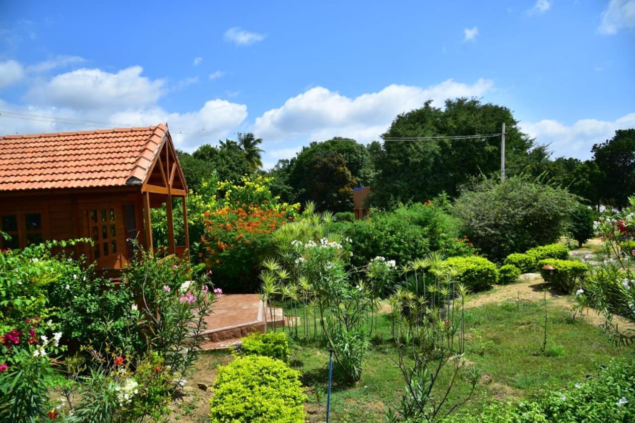 Leo Wodden Resort Hampi Bagian luar foto